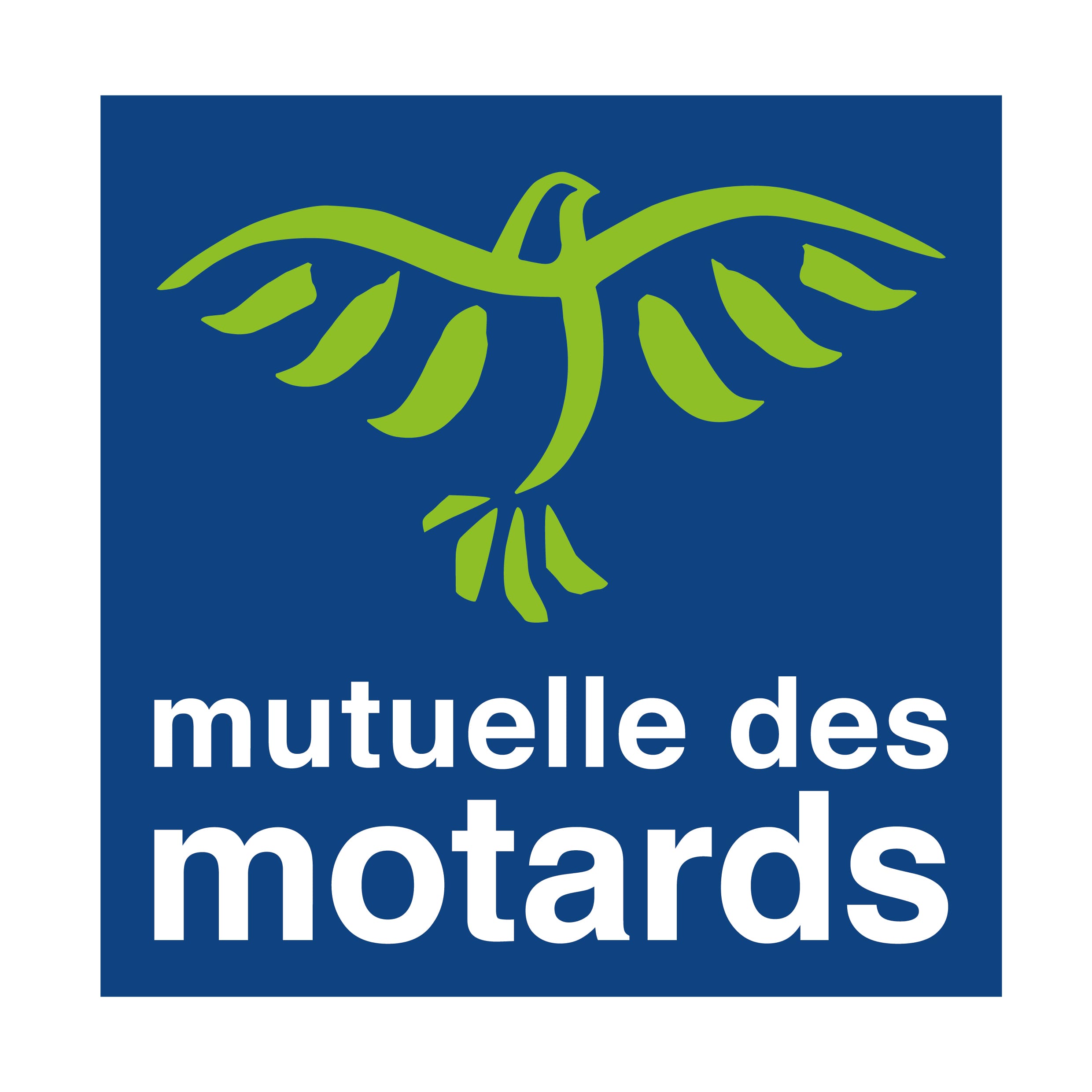 LOGO-carre-couleur-AMDM-2016-01 ABM