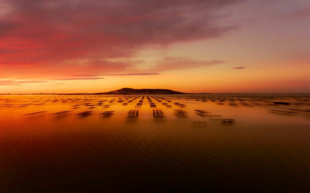 Les lauréats du concours photo “Ma Région” ont été désignés !