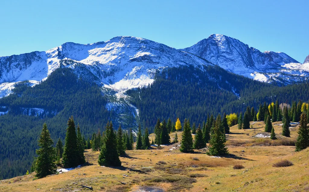 Interview – Le Colorado présent sur le festival en 2024