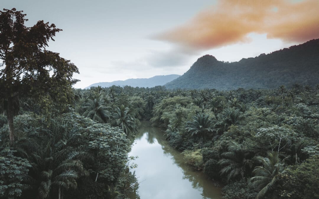 Sao Tomé & Principe : l’histoire oubliée