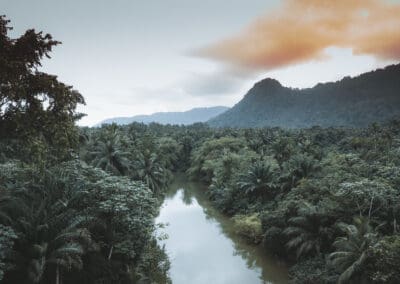 Sao Tomé & Principe : l’histoire oubliée