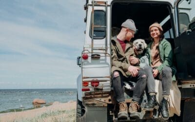5 conseils pour bien voyager avec des animaux de compagnie